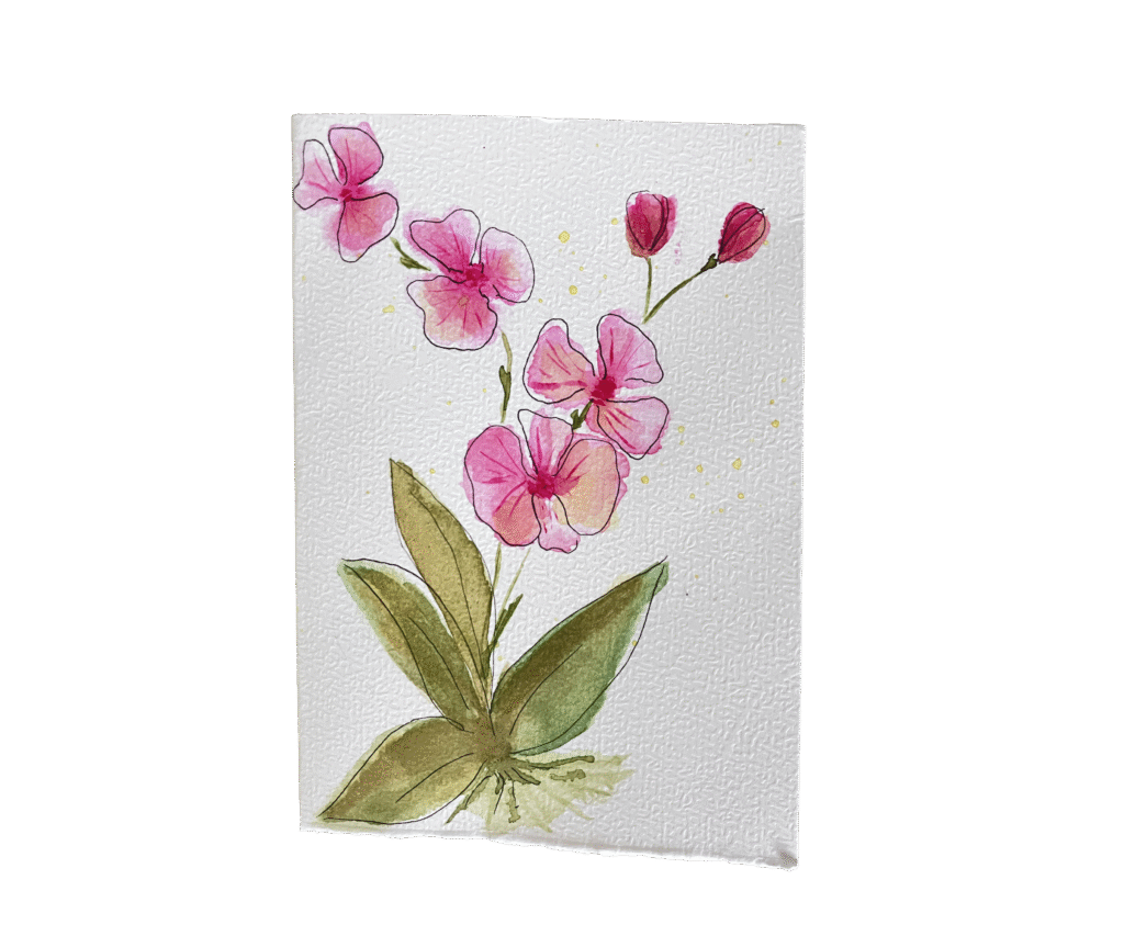 Home amaryllis 1