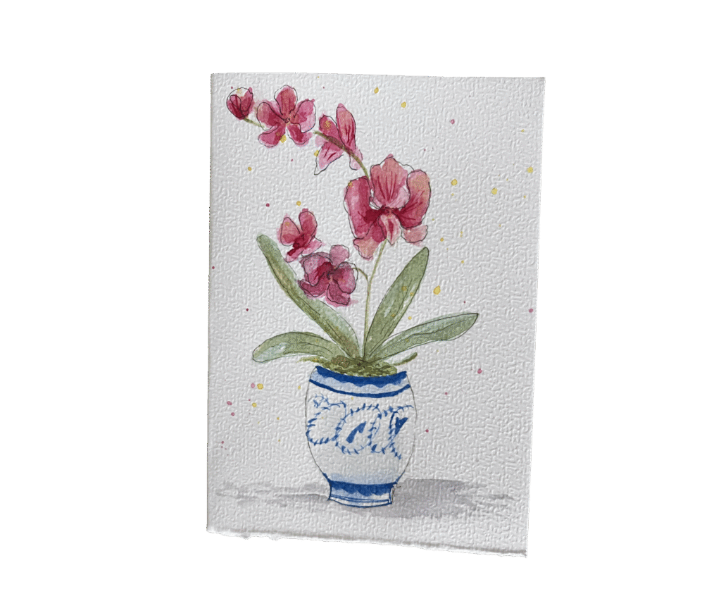 Home amaryllis 2
